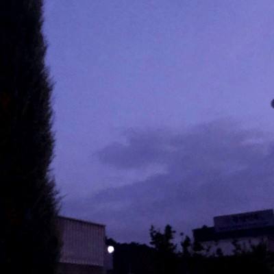 香肠涂色派对手游下载